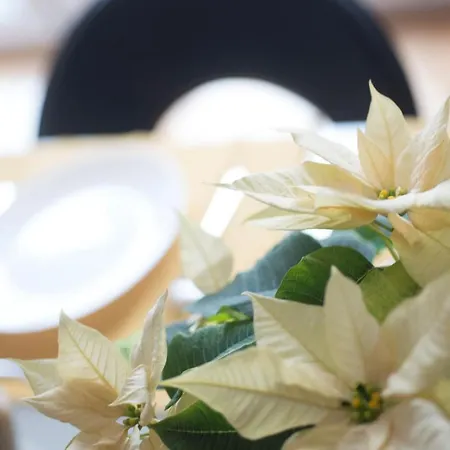 Apartamento Free.three *